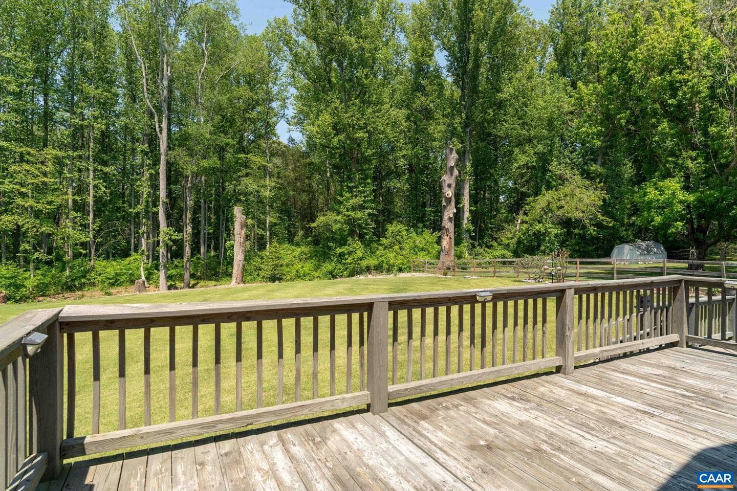 355 Whitethorn Ct photo 11