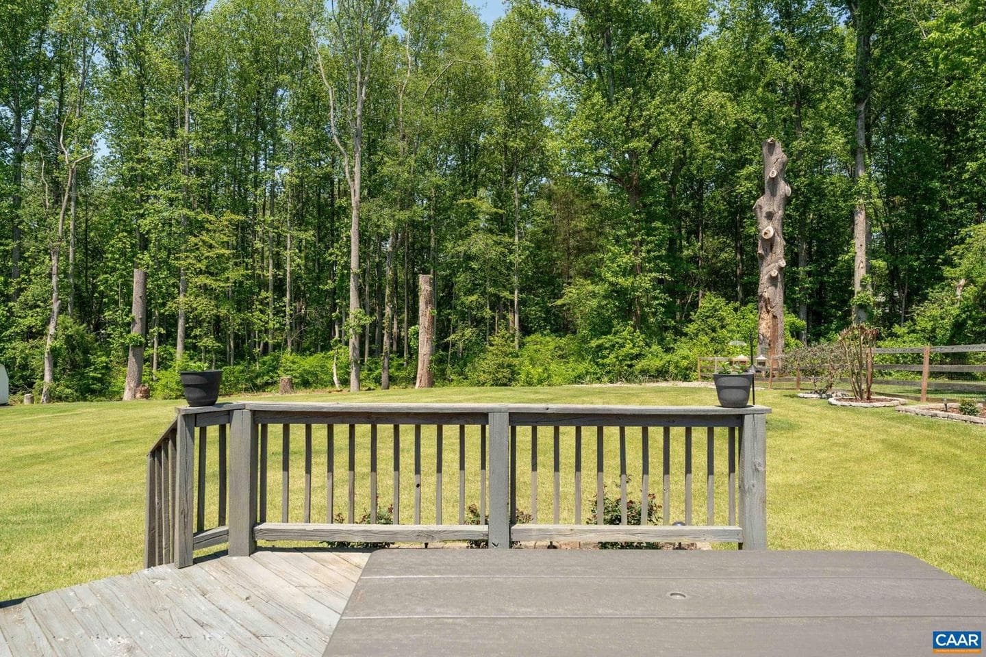 355 Whitethorn Ct photo 8