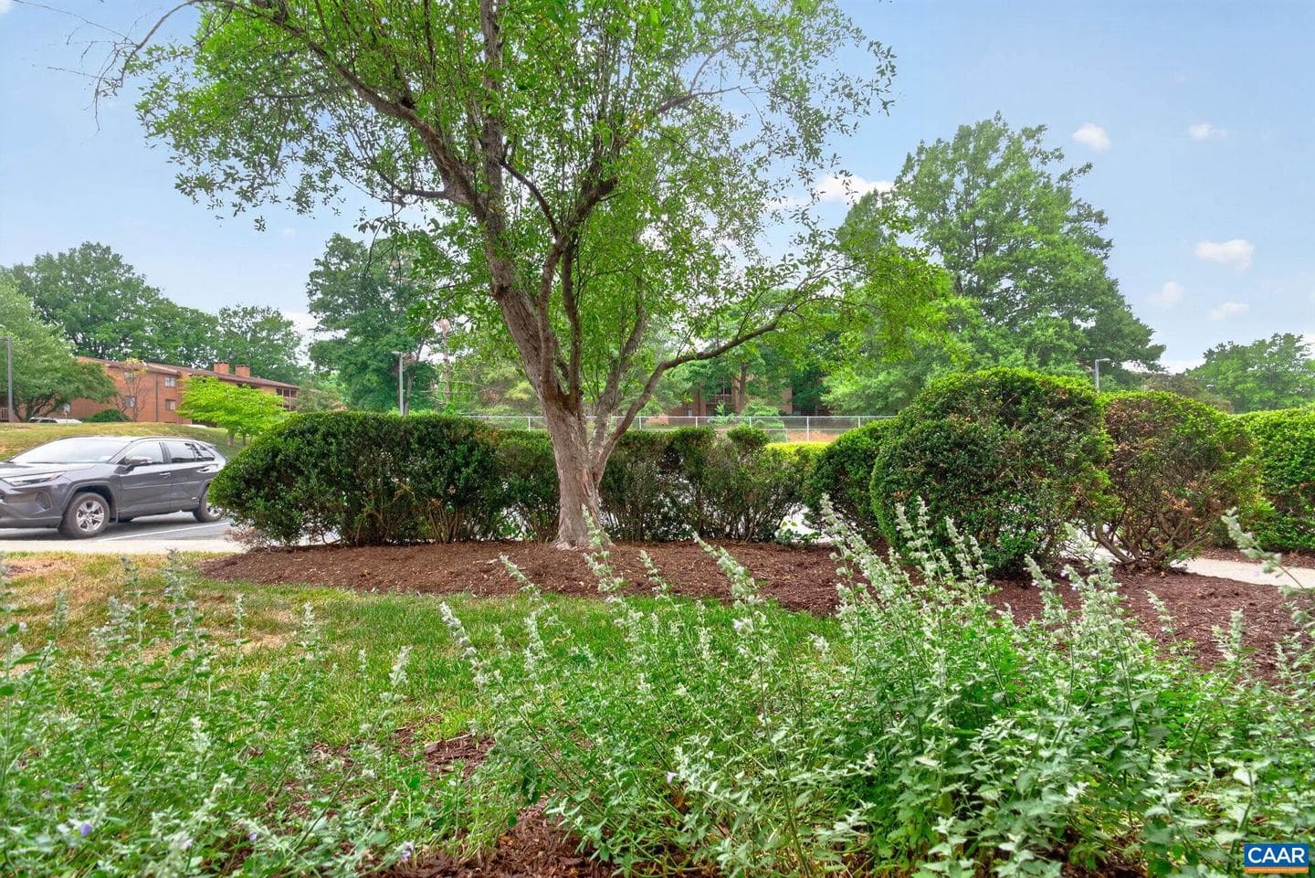 114 Turtle Creek Rd #4 photo 23
