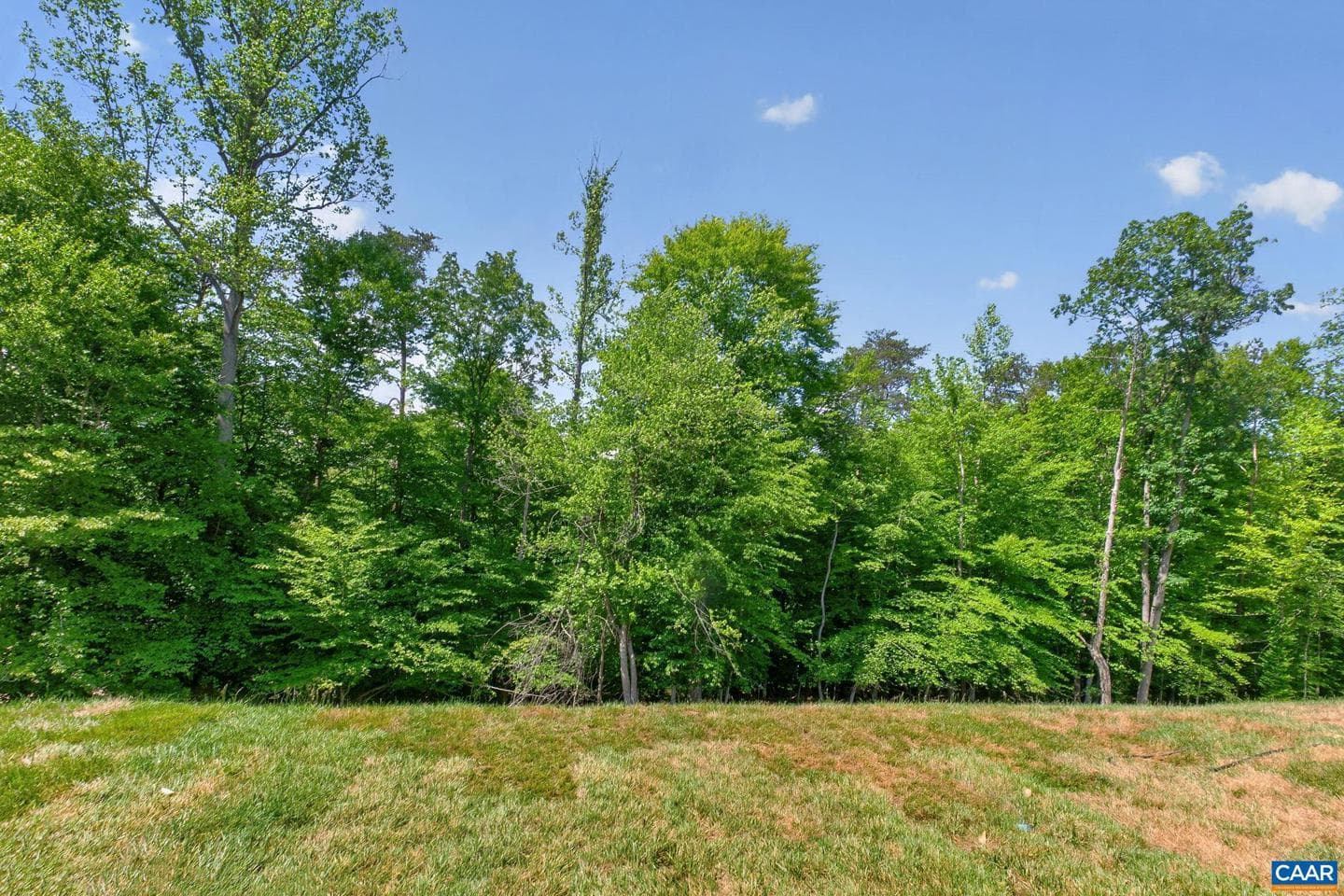 1382 Marcella St photo 58