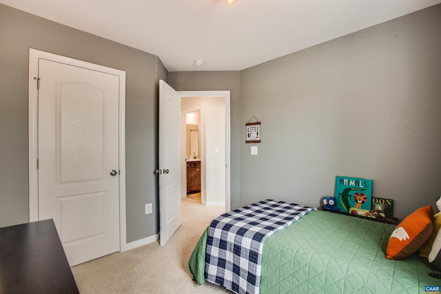 245 Cheshire Ln photo 17