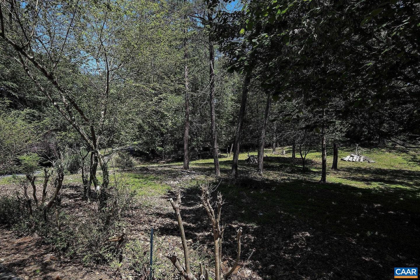 2131 Viburnum Ct photo 19