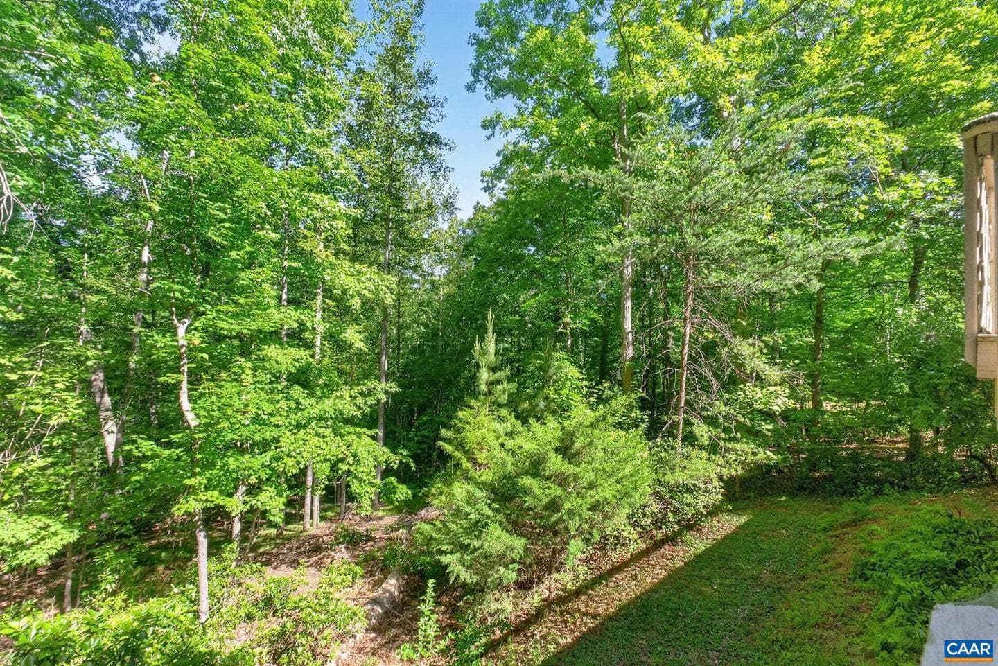 255 Homestead Ln photo 35