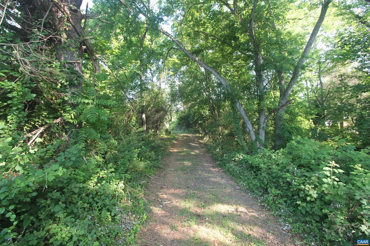4480 Stony Point Rd photo 25