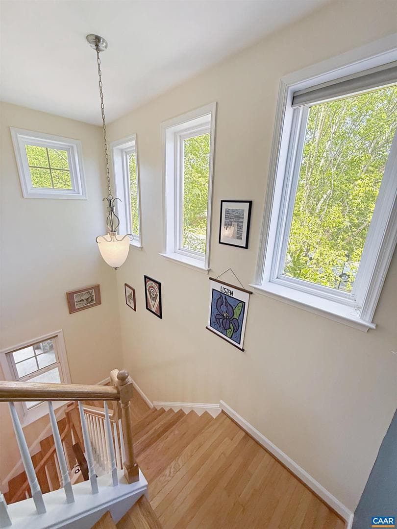 507 Tyree Ln photo 16