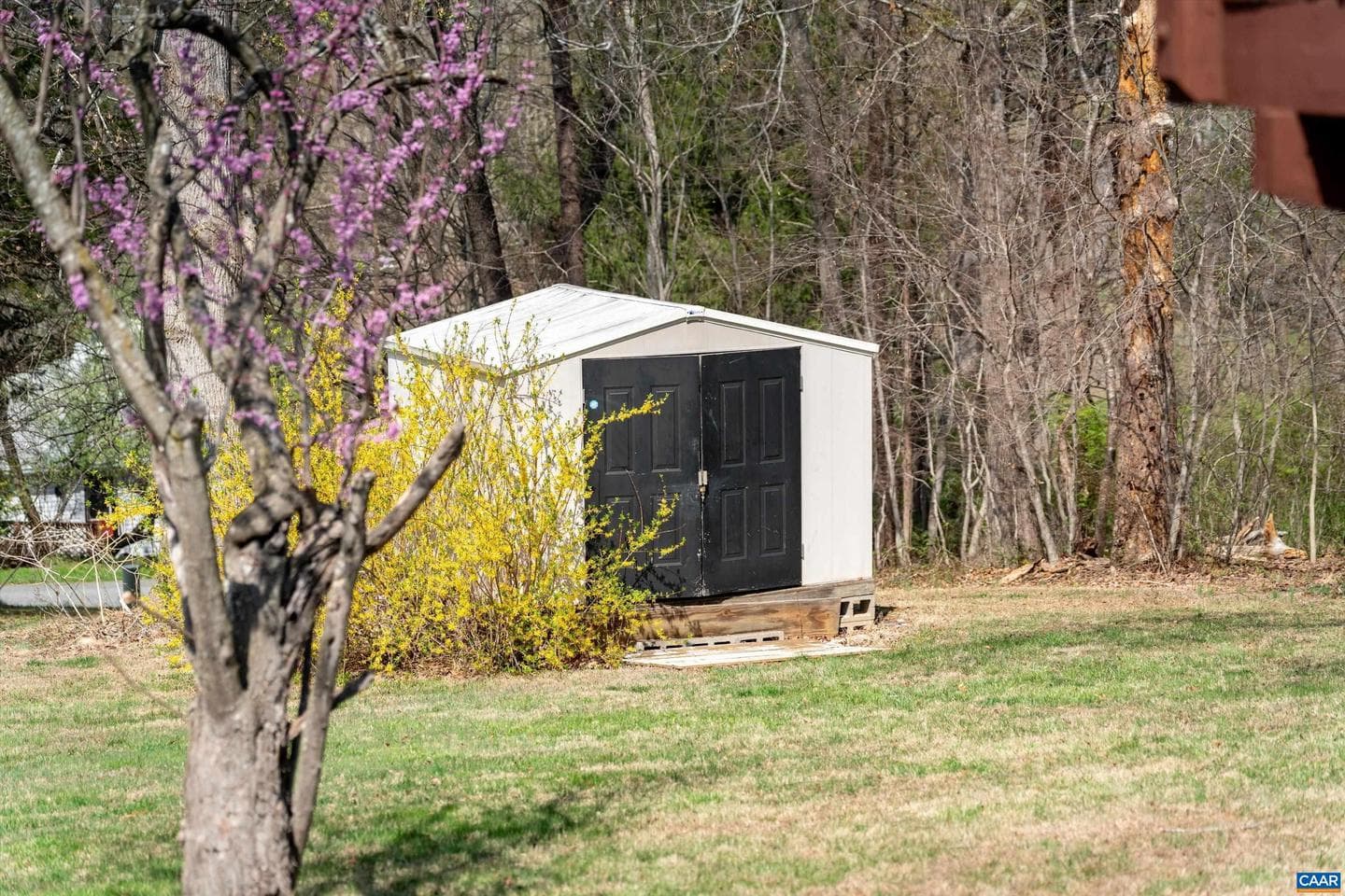 5343 Amicus Rd photo 42