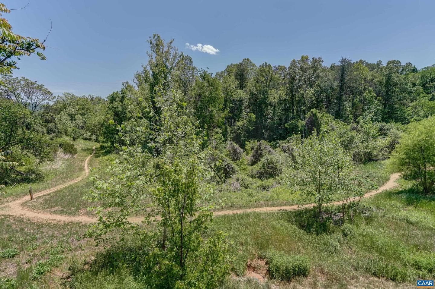 401 Lochlyn Hill Dr photo 56
