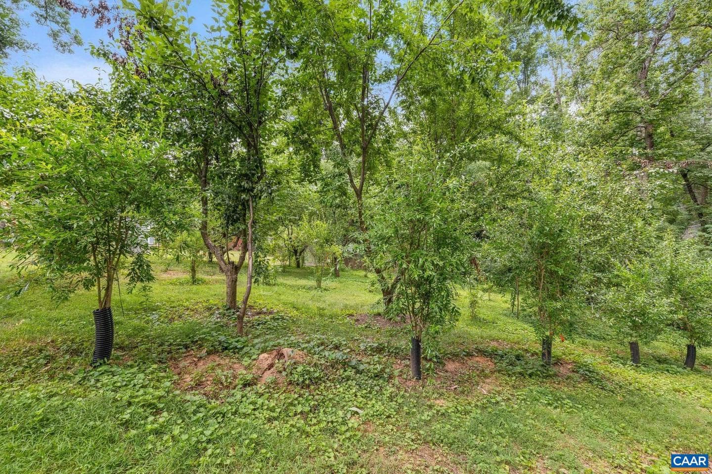 2417 Angus Rd photo 49