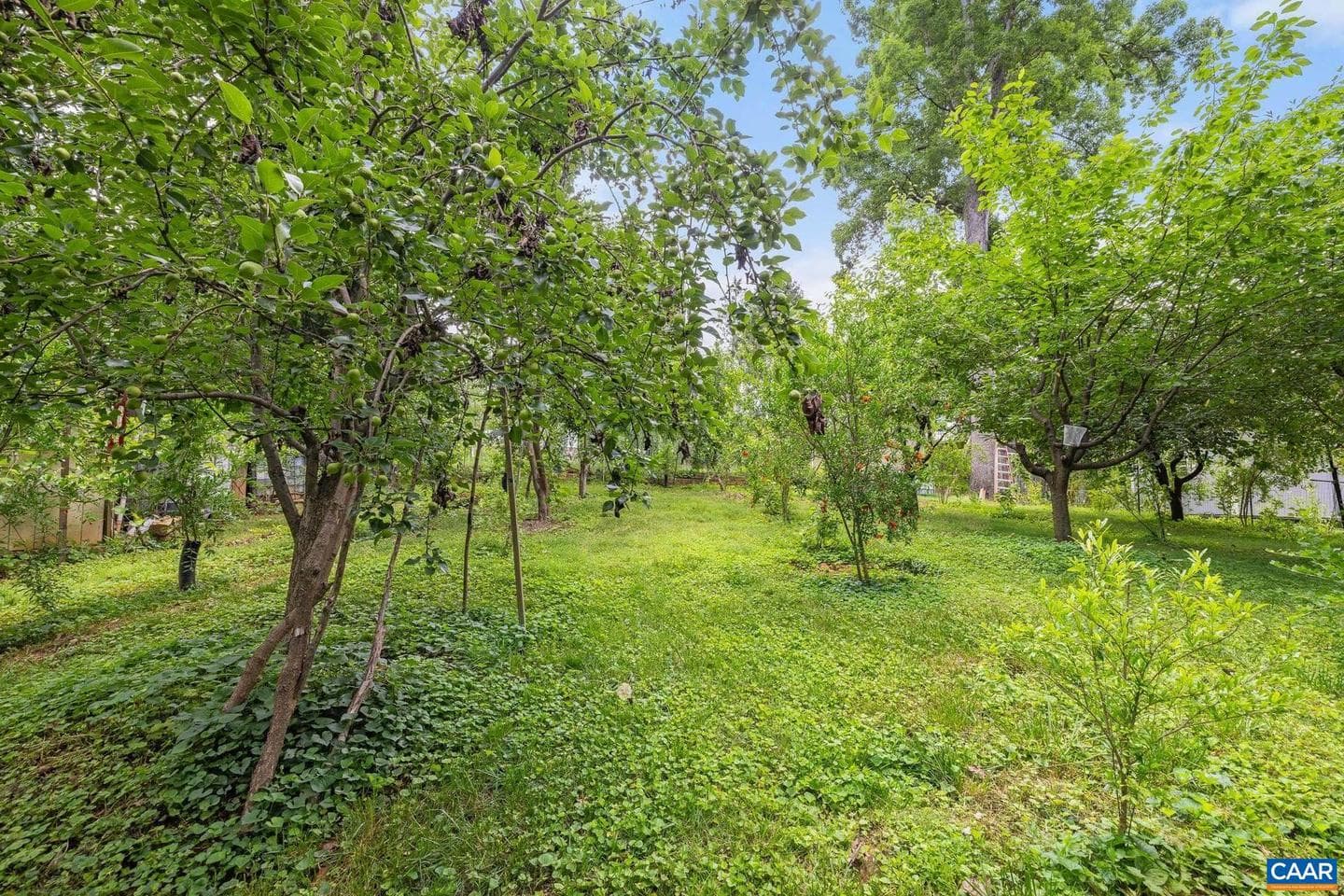 2417 Angus Rd photo 51