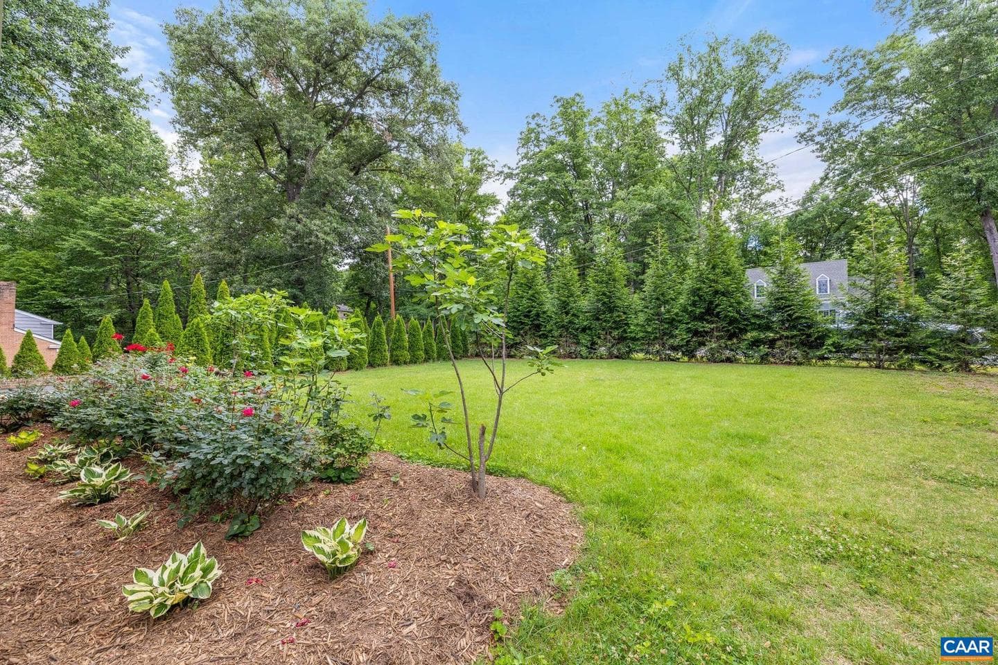 2417 Angus Rd photo 8