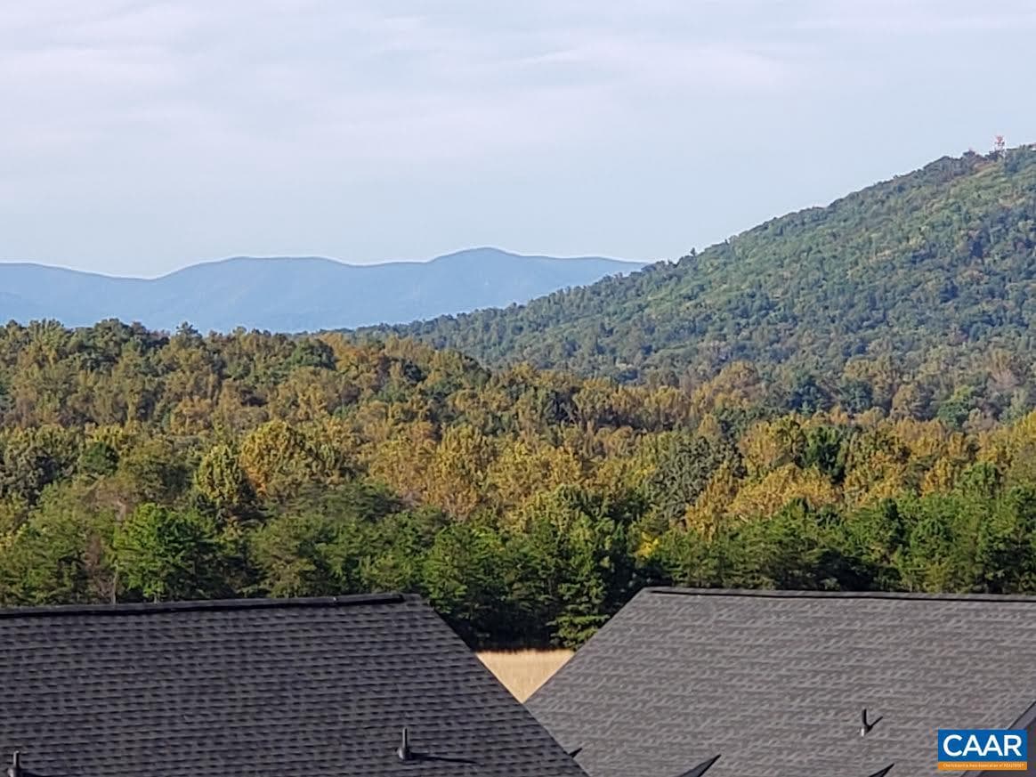3437 Thicket Run Pl photo 26