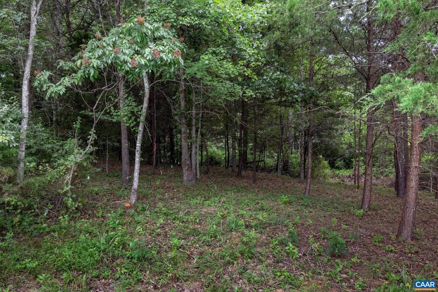 242 Palmer Pl photo 58