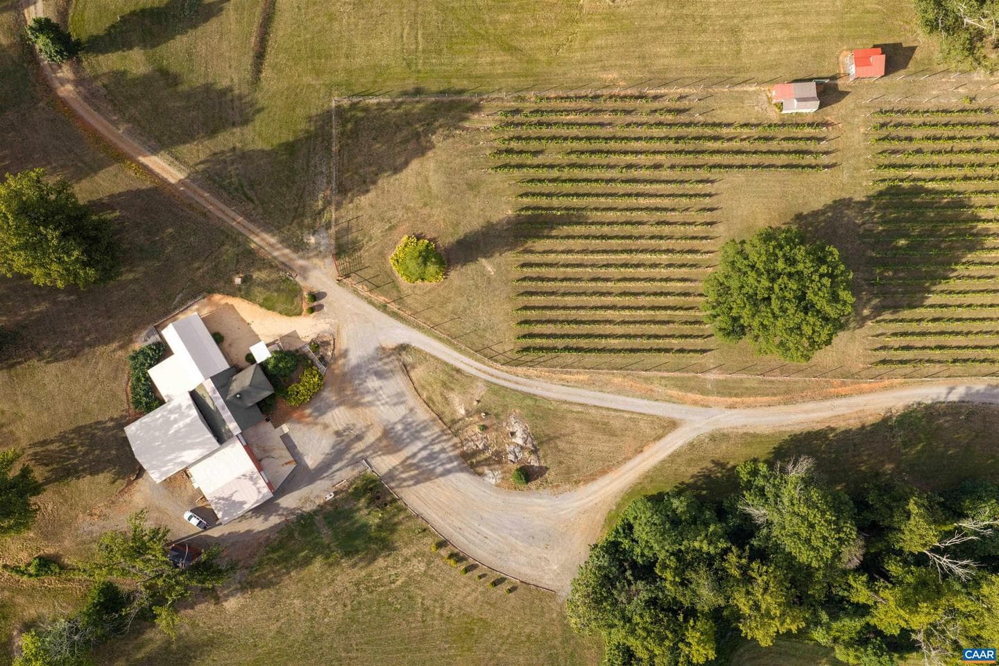 3613 Walnut Branch Ln photo 28