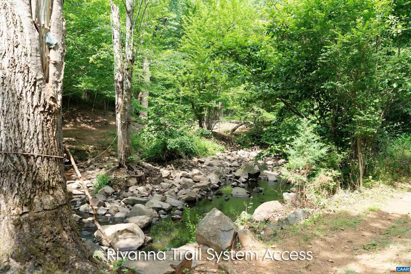 1118 Mill Park Drive Ext photo 48