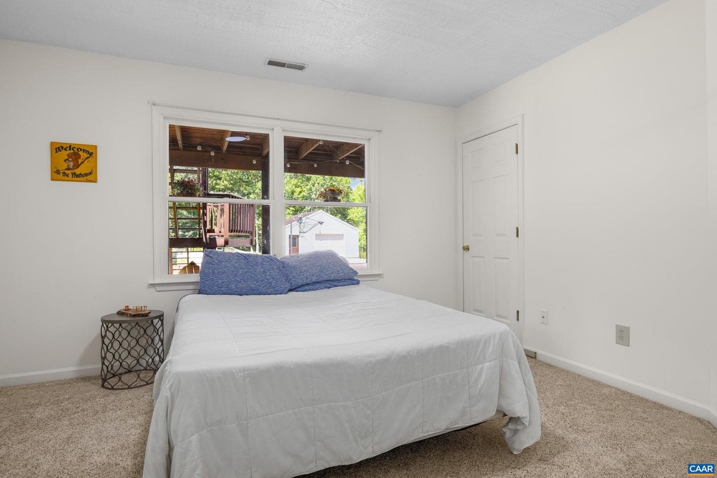 5393 Amicus Rd photo 60
