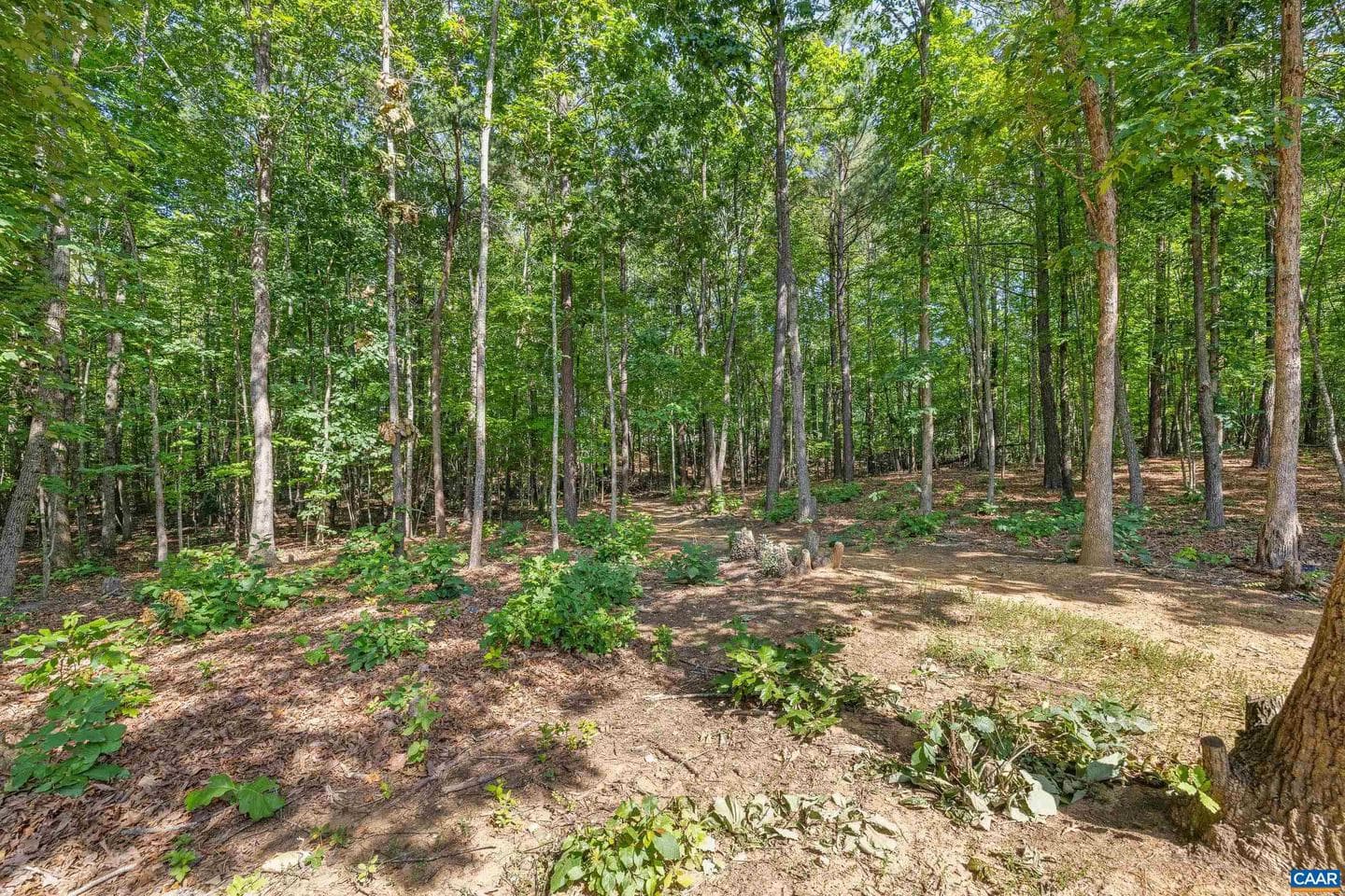 306 Rosewood Dr photo 50