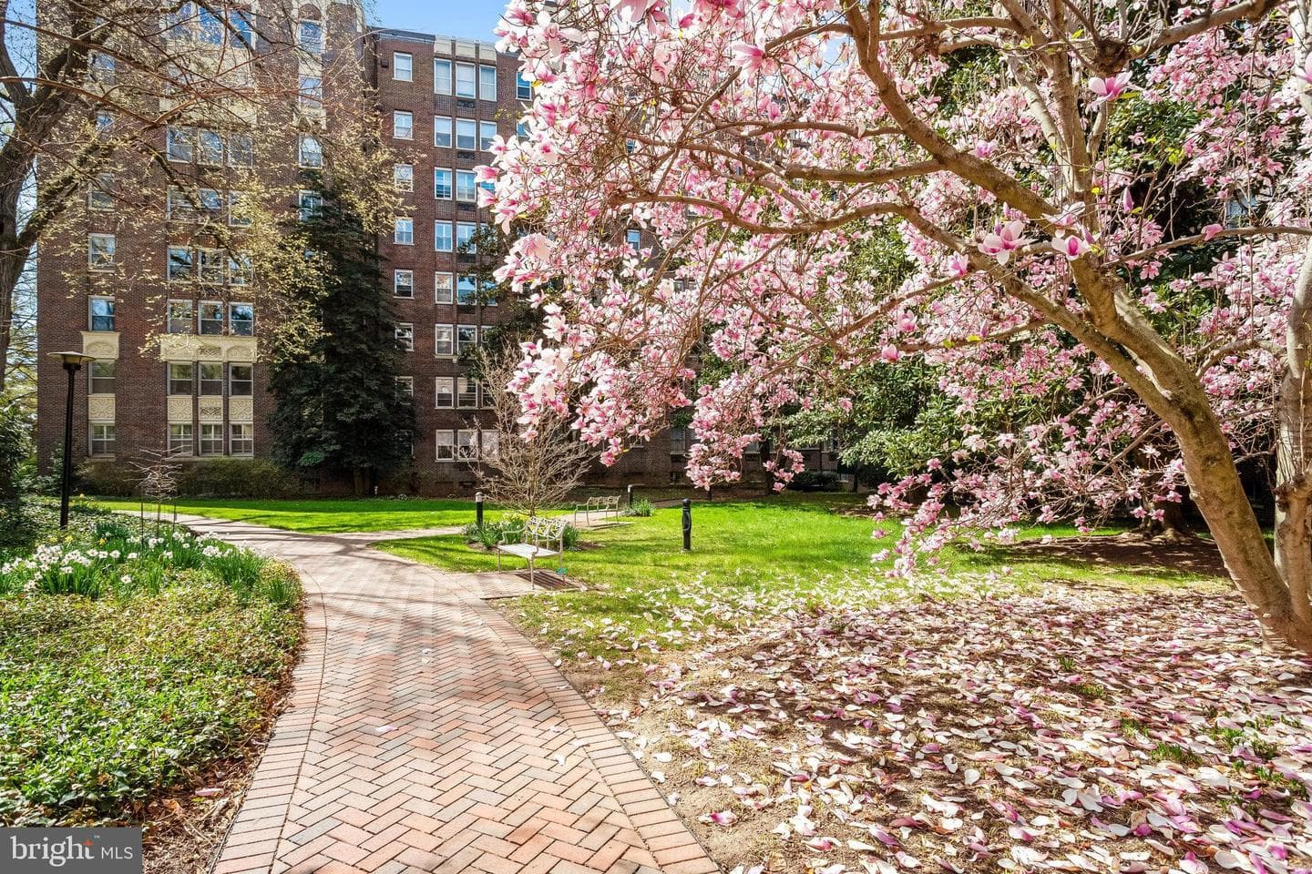 4000 Cathedral Avenue NW #518b photo 10