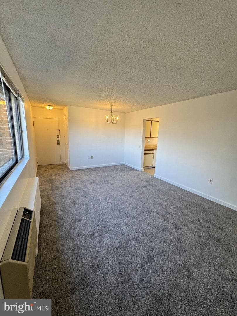 4717 1st Street SW #303 photo 4