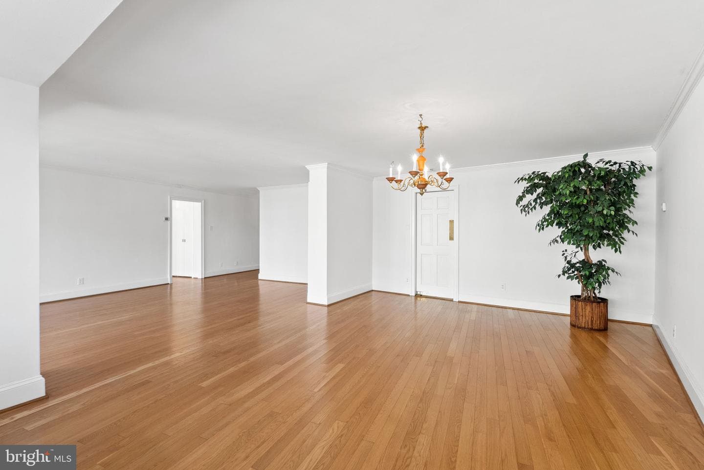 2500 Virginia Avenue NW #517-S photo 5