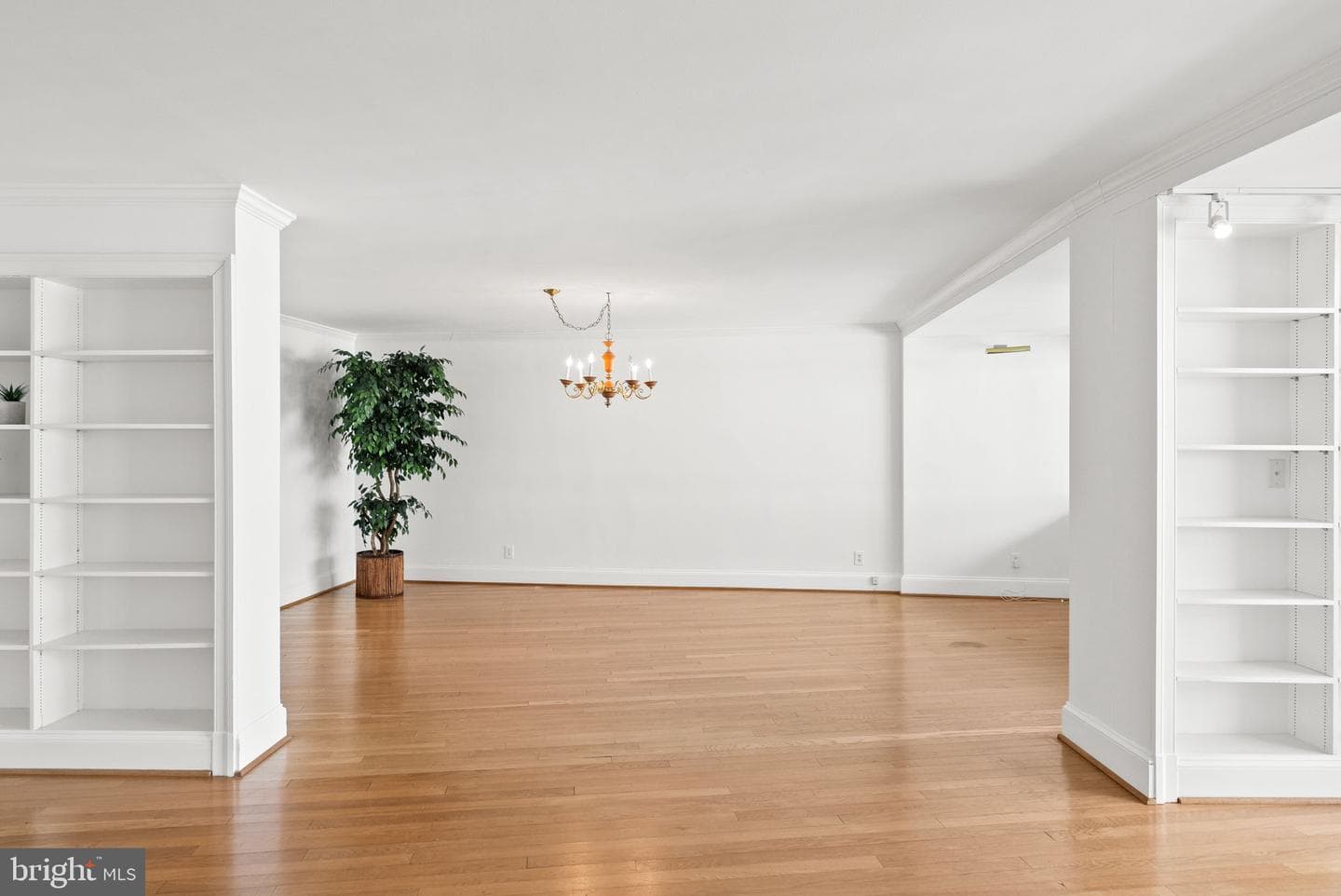 2500 Virginia Avenue NW #517-S photo 6