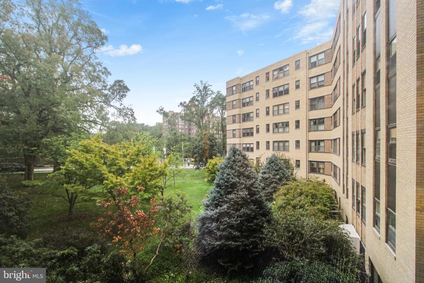 3901 Cathedral Avenue NW #201 photo 10