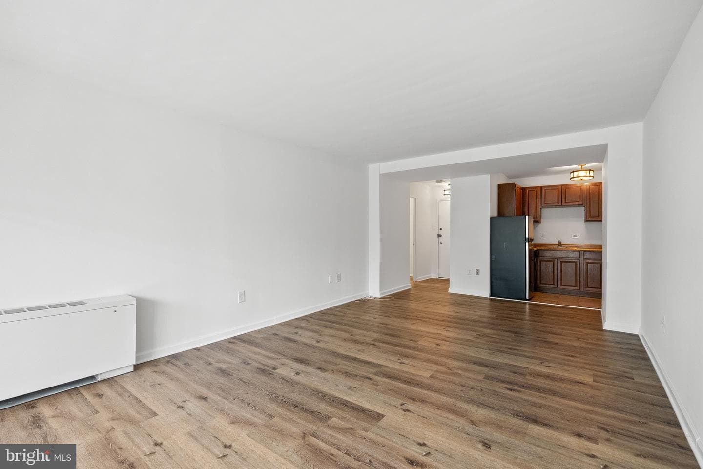 1301 Delaware Avenue SW #N-108 photo 7