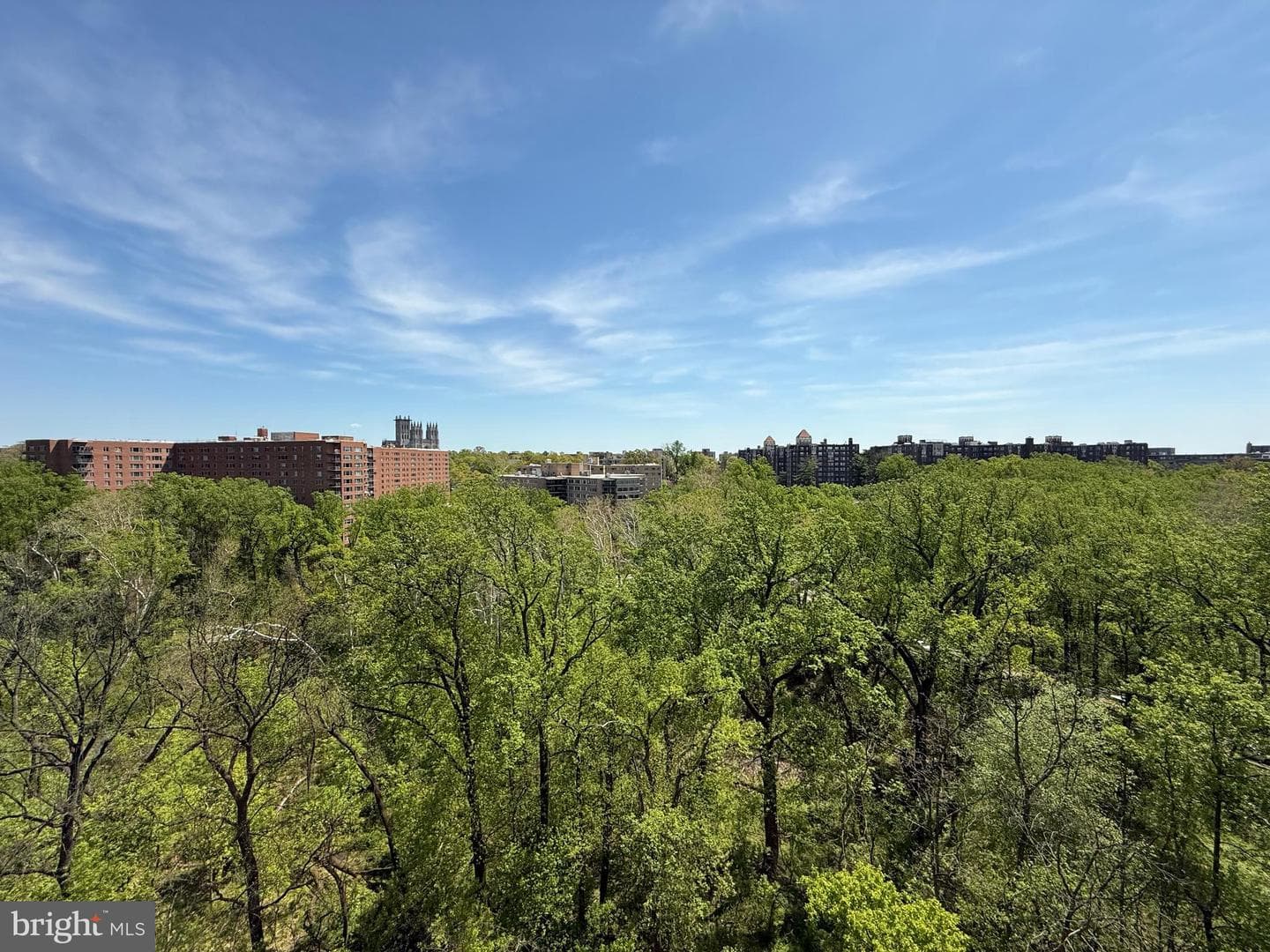 4201 Cathedral Avenue NW #1406e photo 3