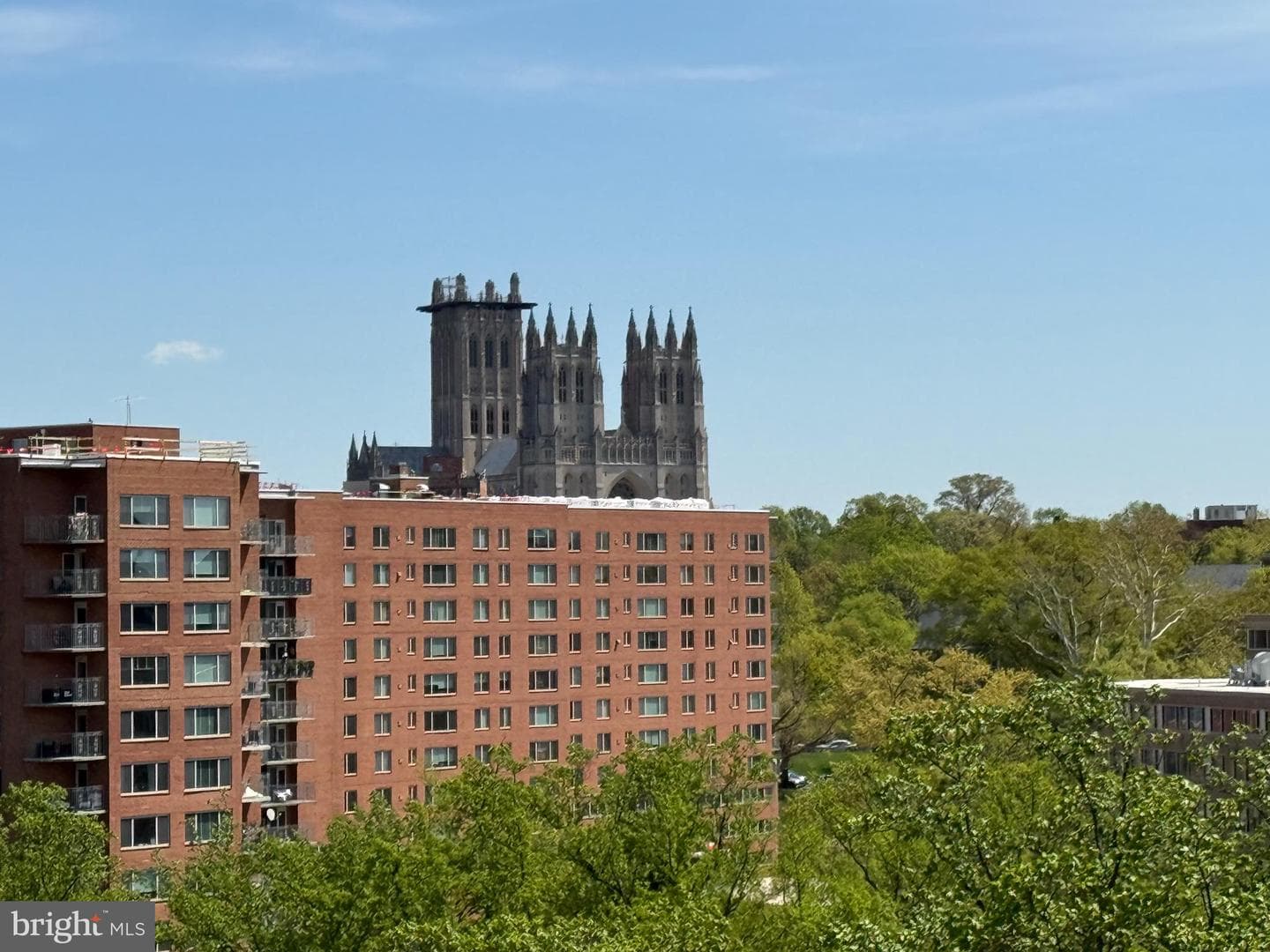 4201 Cathedral Avenue NW #1406e photo 4