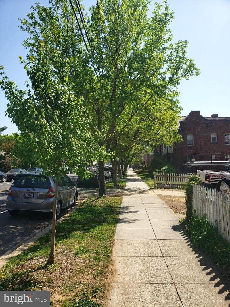 422 Butternut Street NW #t-3 photo 27