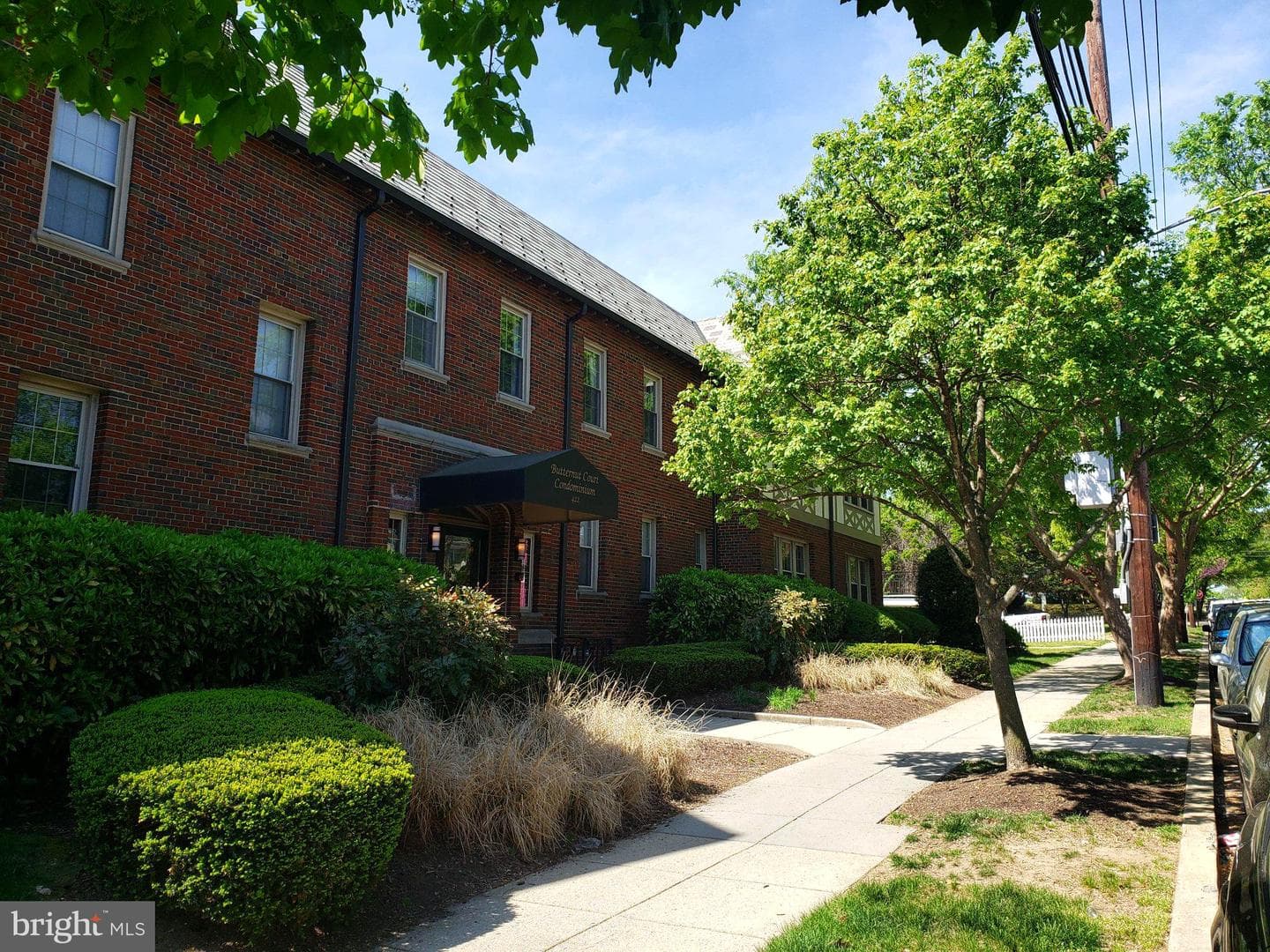 422 Butternut Street NW #t-3 photo 29