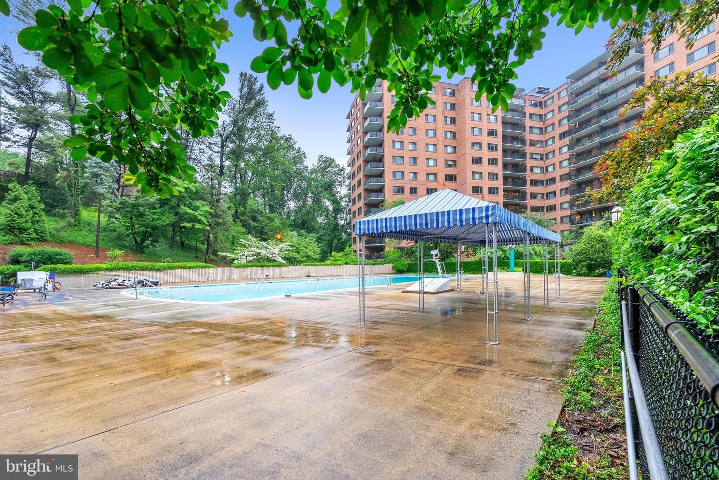 4201 Cathedral Avenue NW #918w photo 3