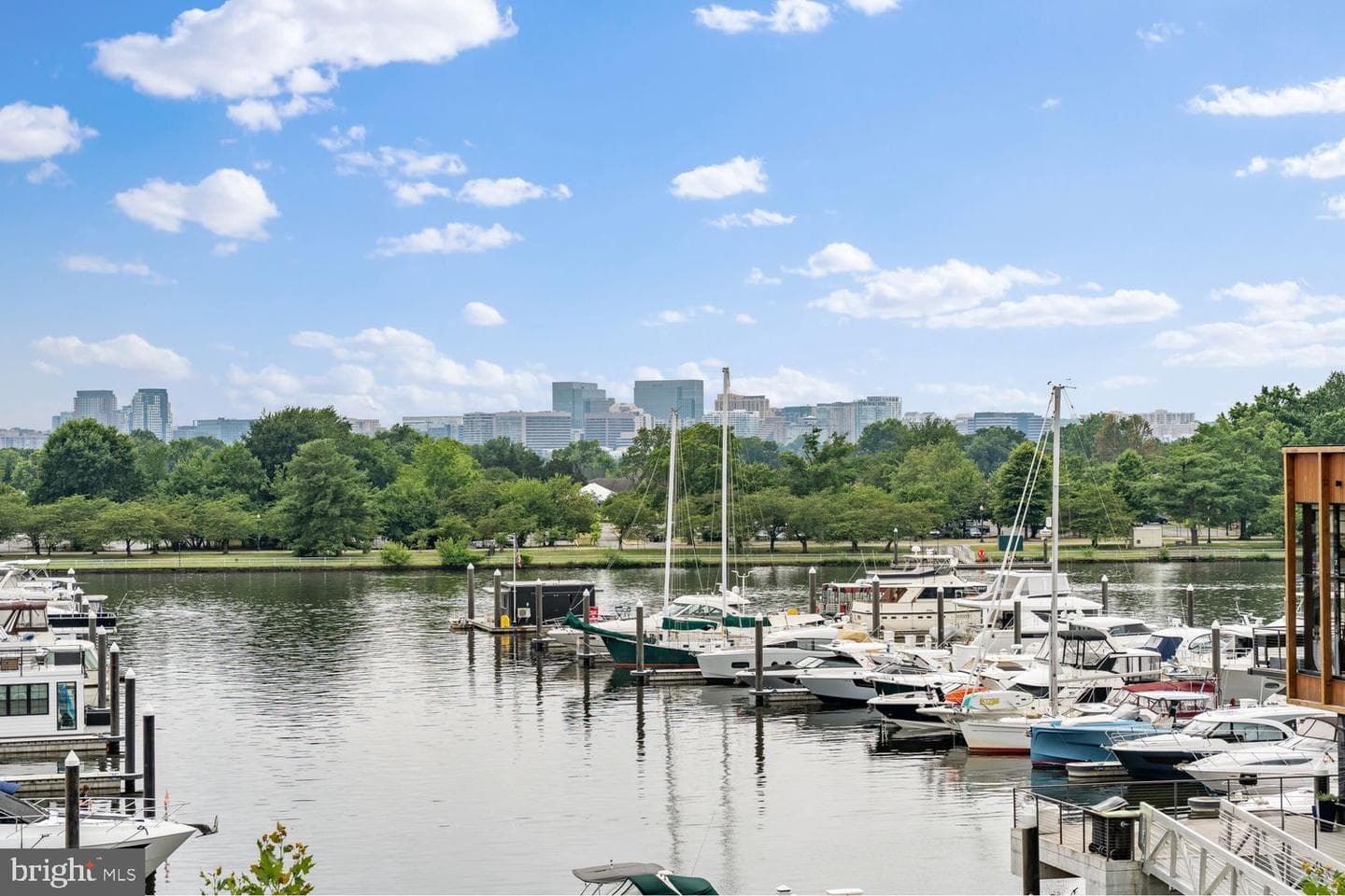 601 Wharf Street SW #301 photo 49