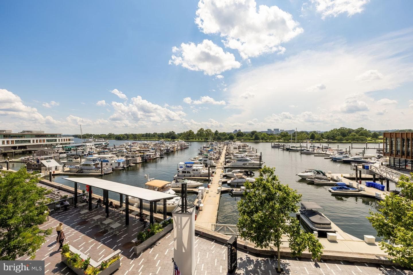 601 Wharf Street SW #301 photo 52