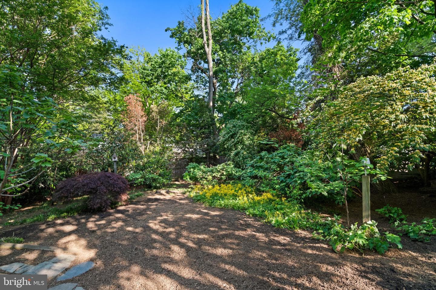 500 Dahlia Street NW photo 100