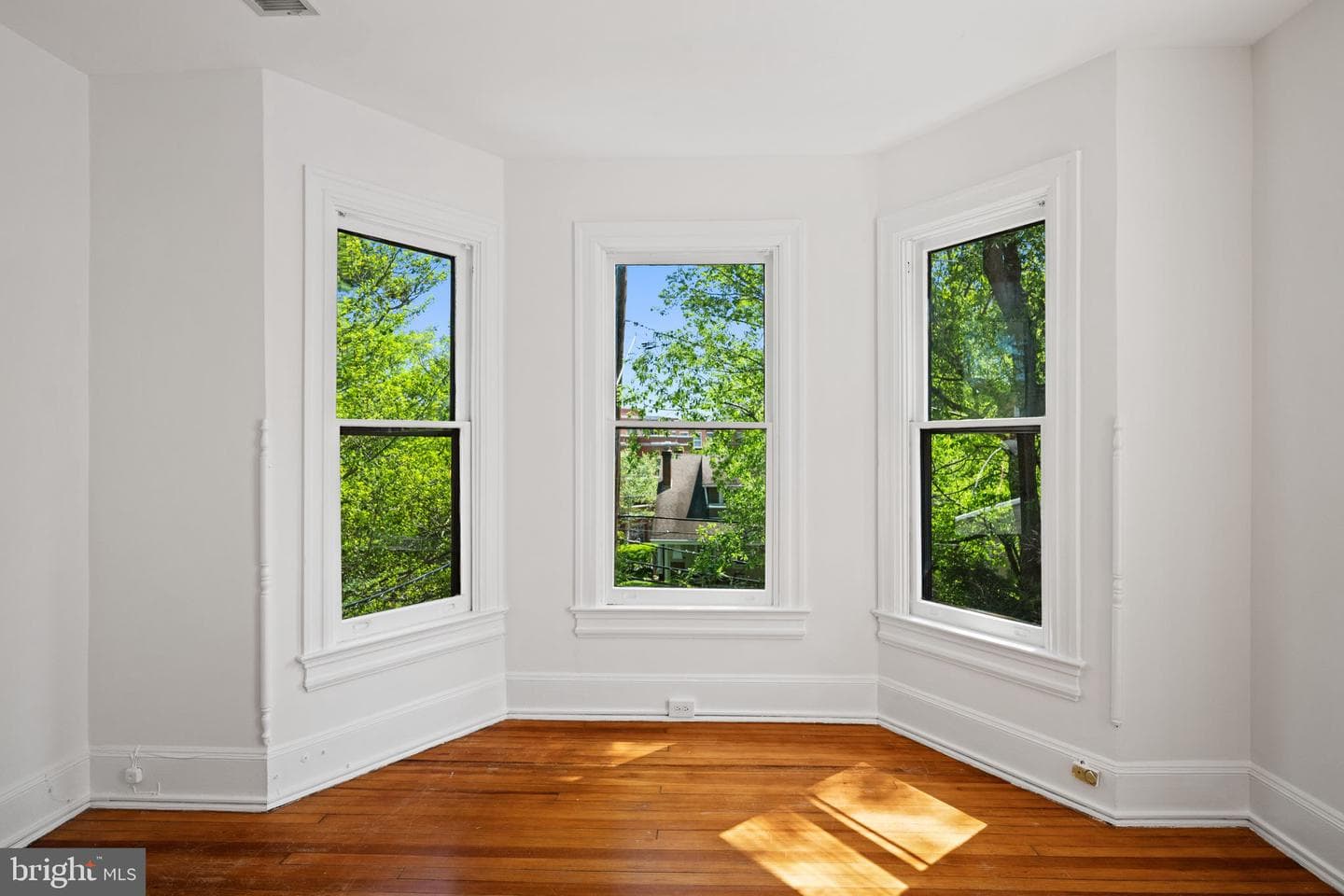 500 Dahlia Street NW photo 44