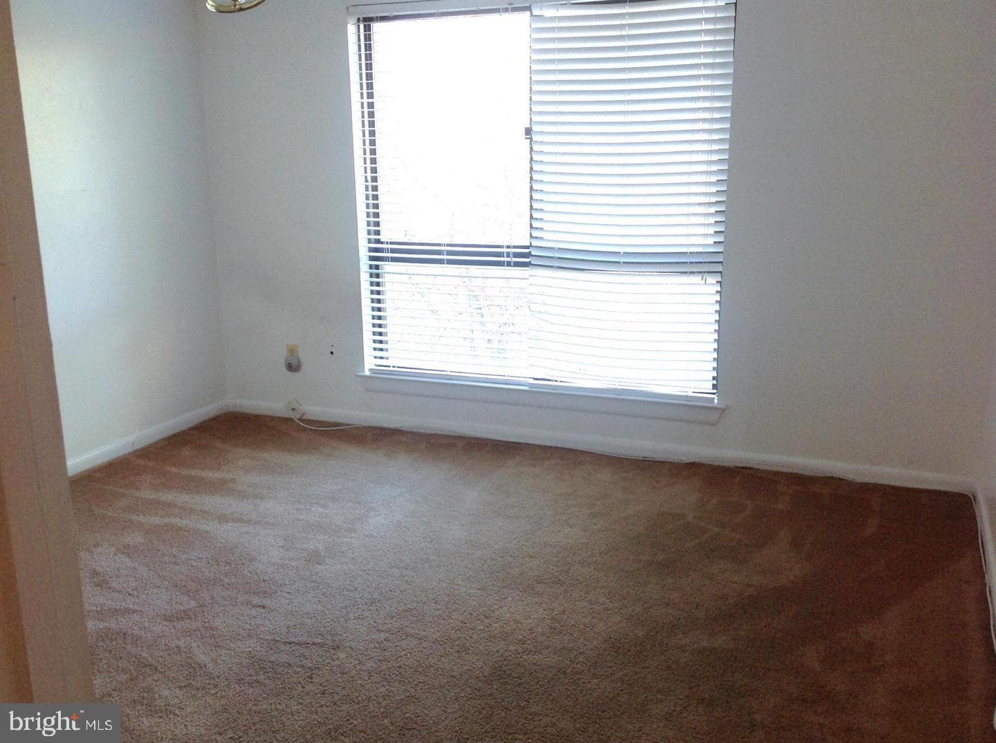 1631 Gainesville Street SE #301 photo 8