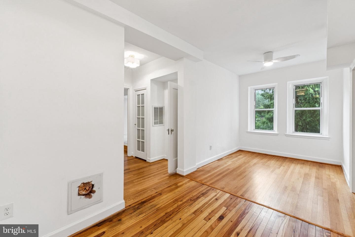 4707 Connecticut Avenue NW ##211 And #213 photo 16