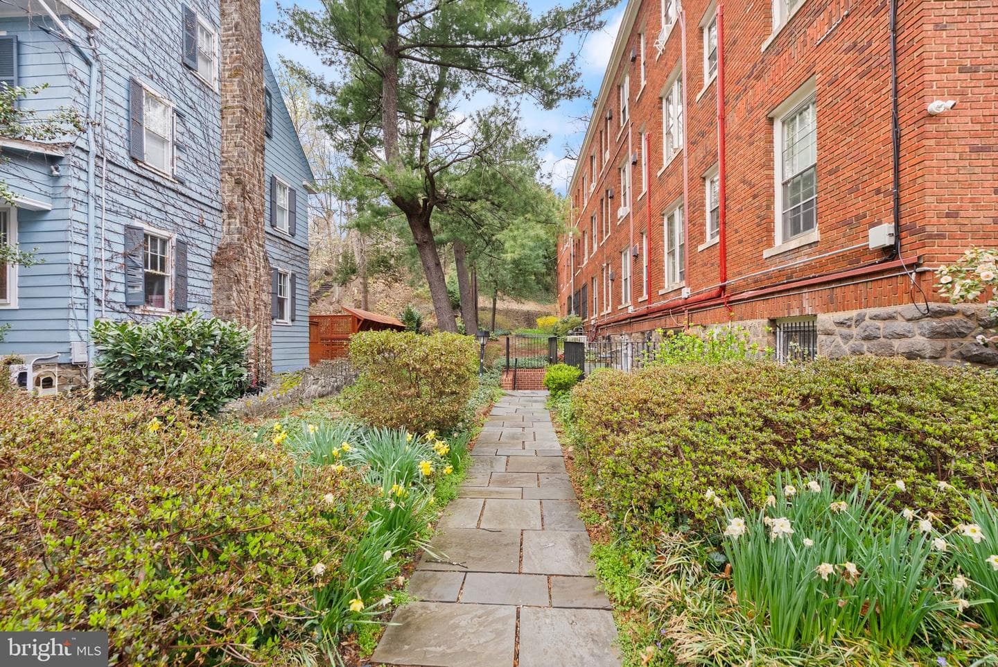 3039 Macomb Street NW #2a photo 23
