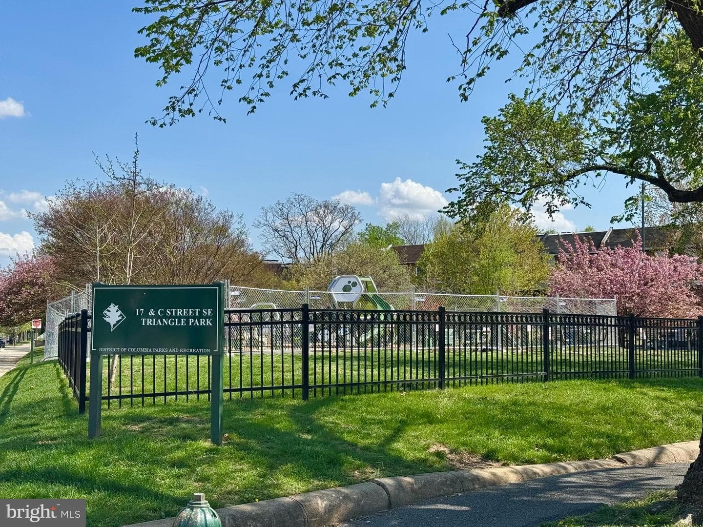 1711 D Street SE #2 photo 27