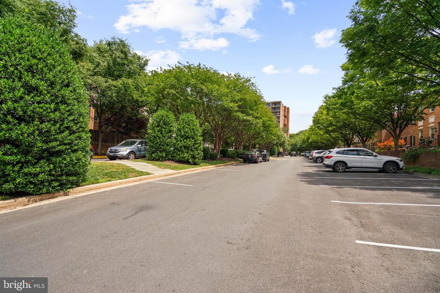 3101 New Mexico Avenue NW #817 photo 49