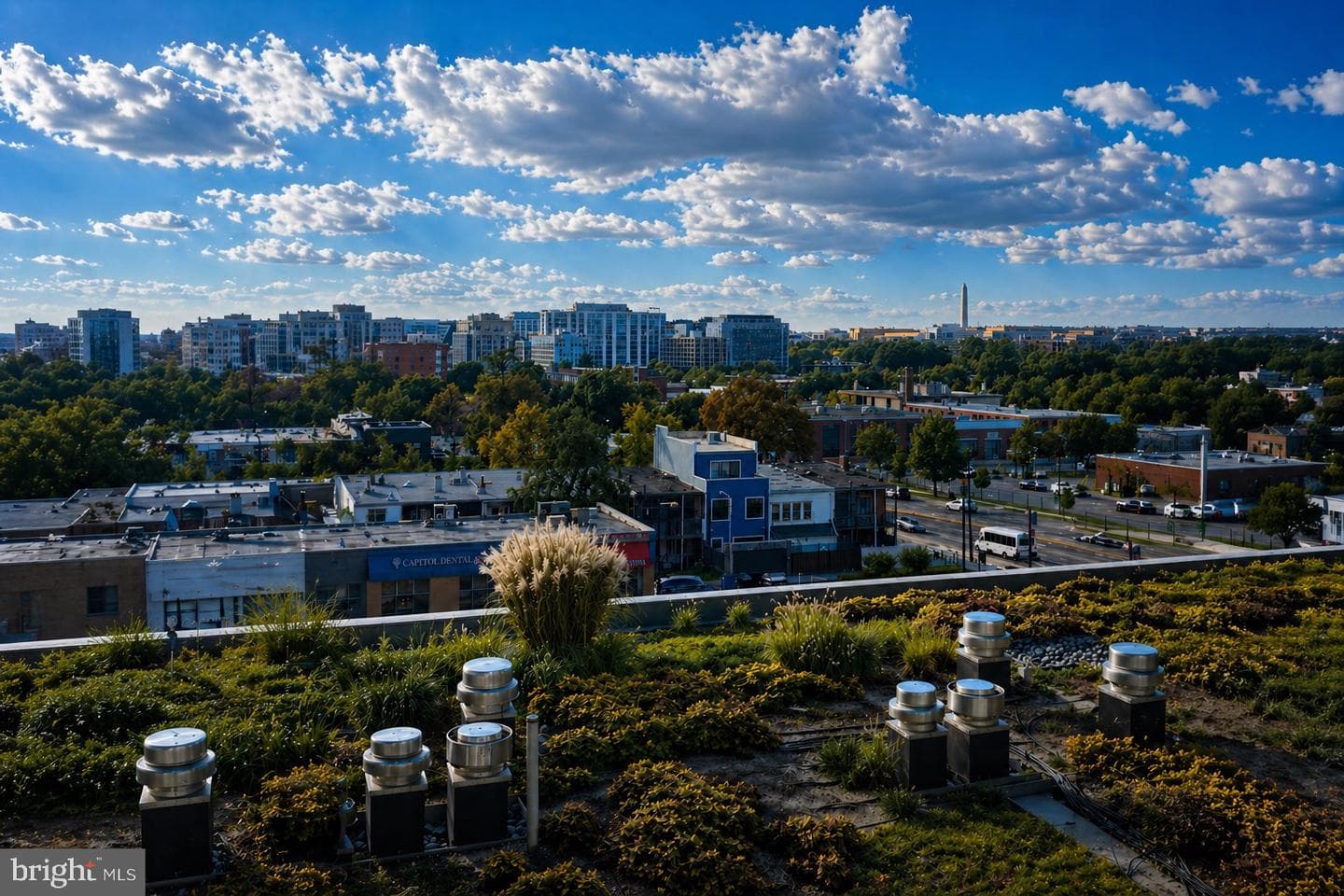 1211 Van Street SE #613, Washington
