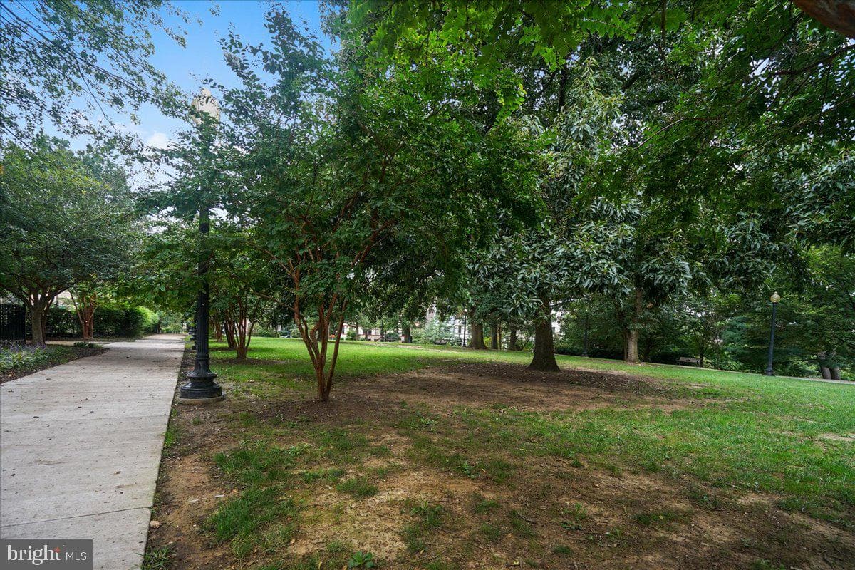 2129 Florida Avenue NW #407 photo 40
