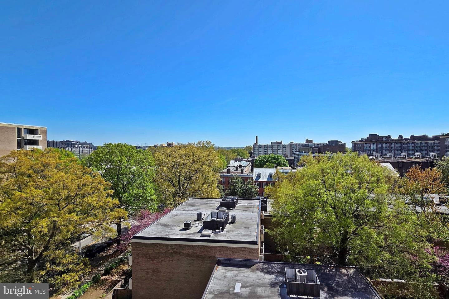 1245 4th Street SW #e602 photo 9