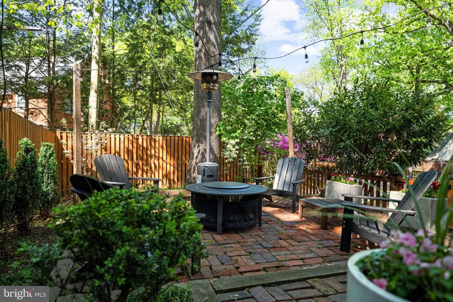 3701 Jocelyn Street NW photo 50