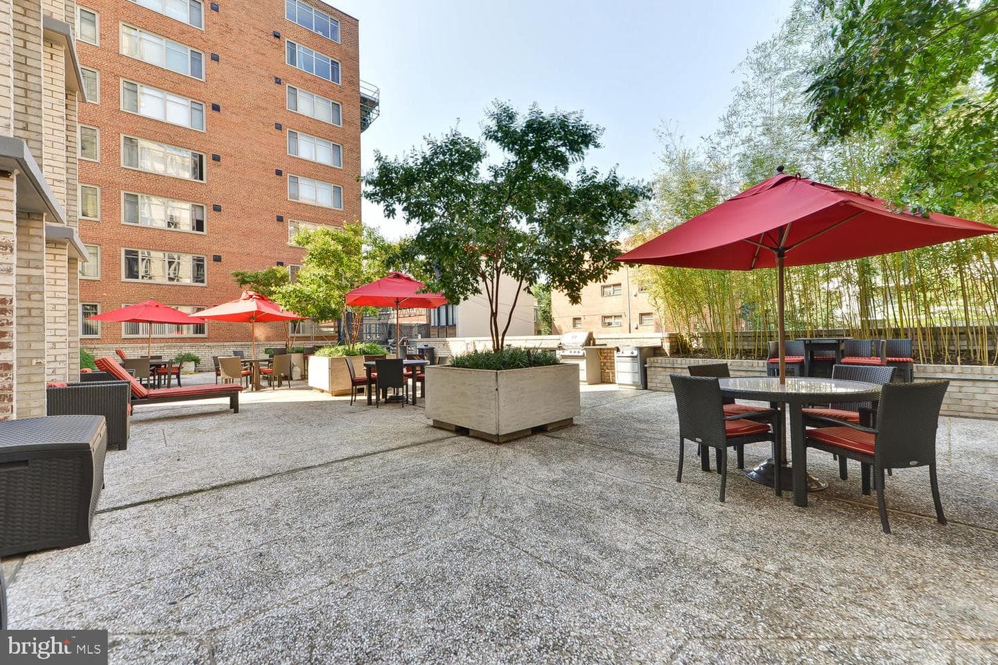 950 25th Street NW #514-S photo 18