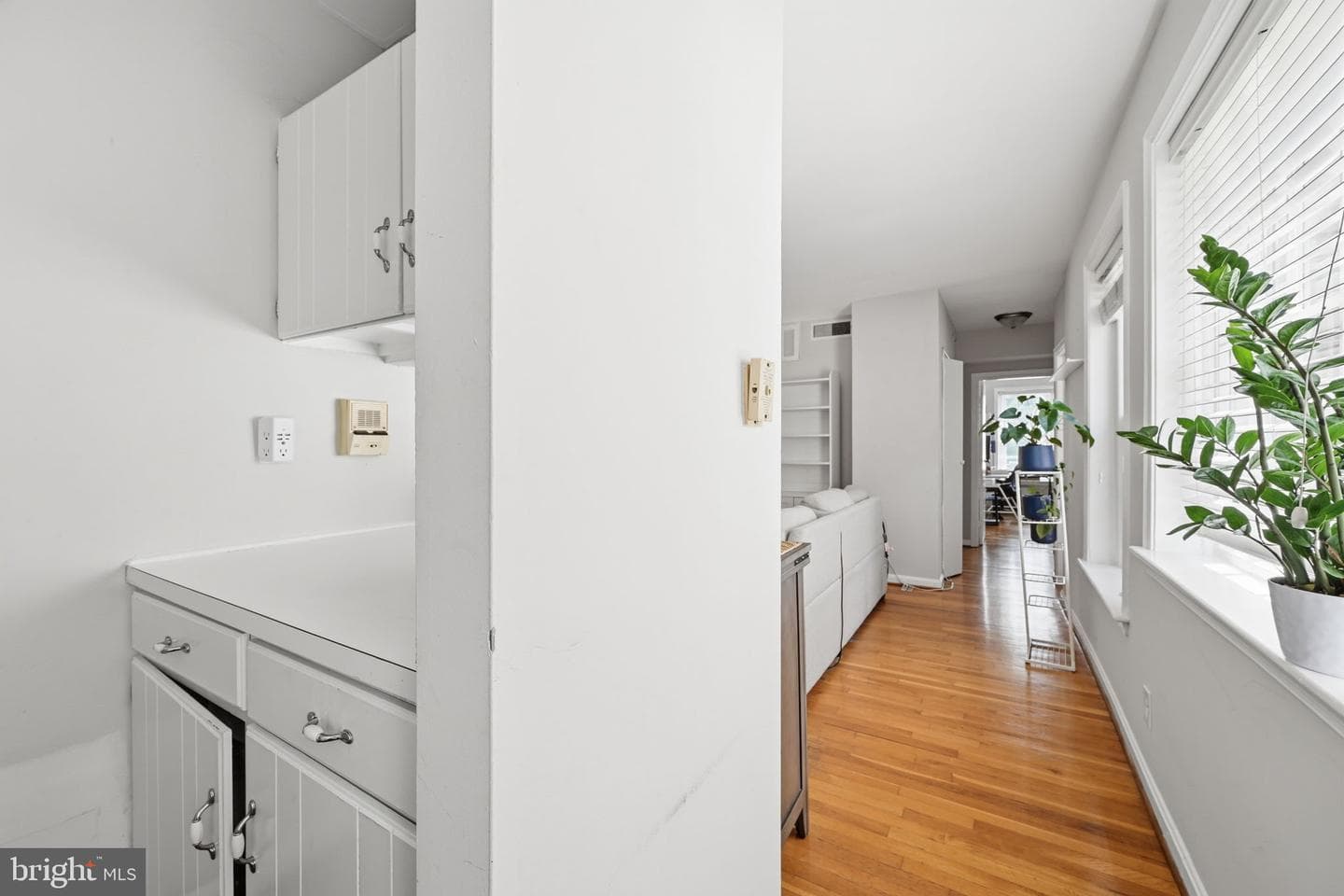 117 E Street SE #302 photo 8