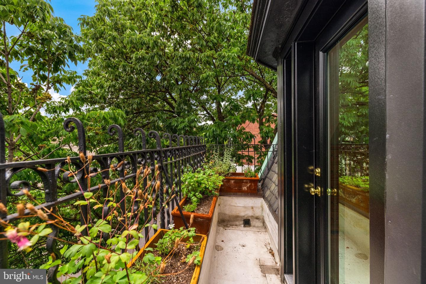 1517 P Street NW #3 photo 35