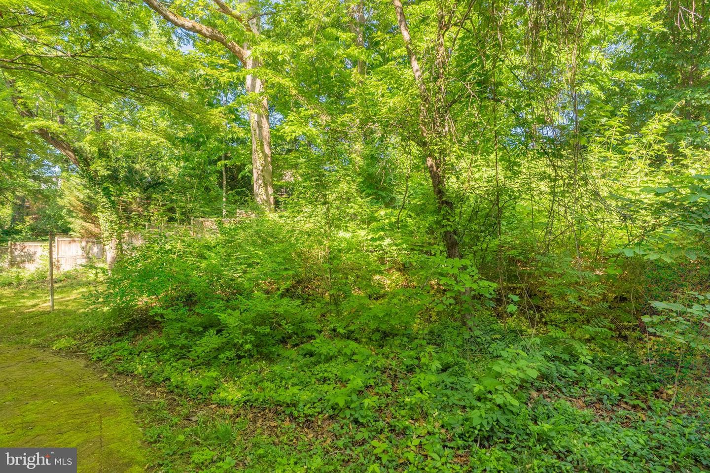 6980 Oregon Avenue NW photo 5