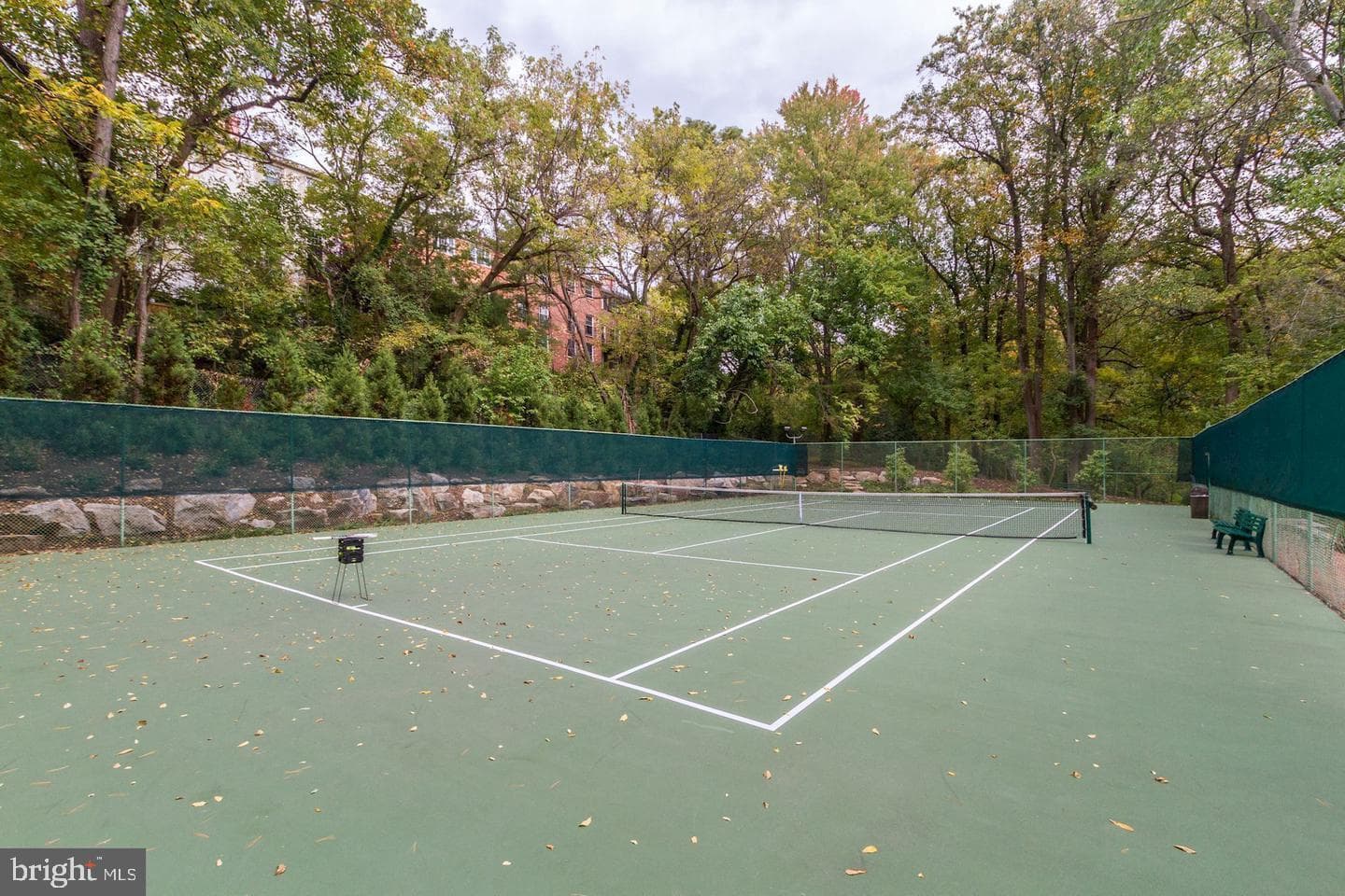 4201 Cathedral Avenue NW #215w photo 37