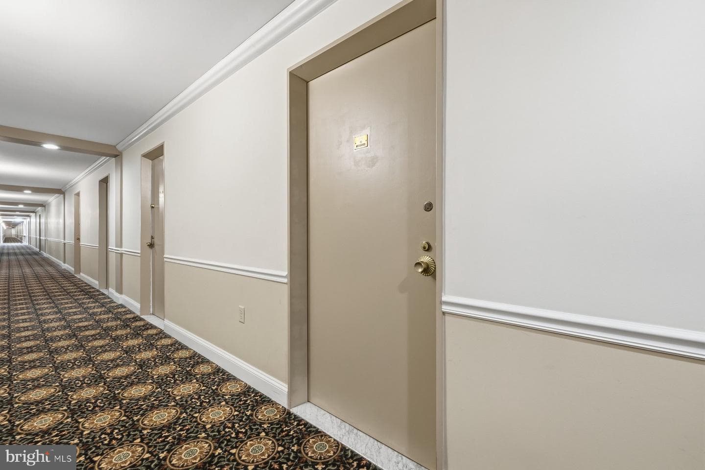 2501 Calvert Street NW #310 photo 11